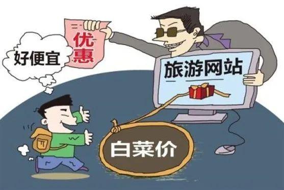 赵治龙-典型旅游案例分析